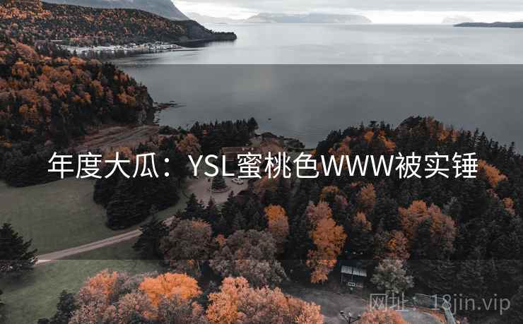 年度大瓜：YSL蜜桃色WWW被实锤