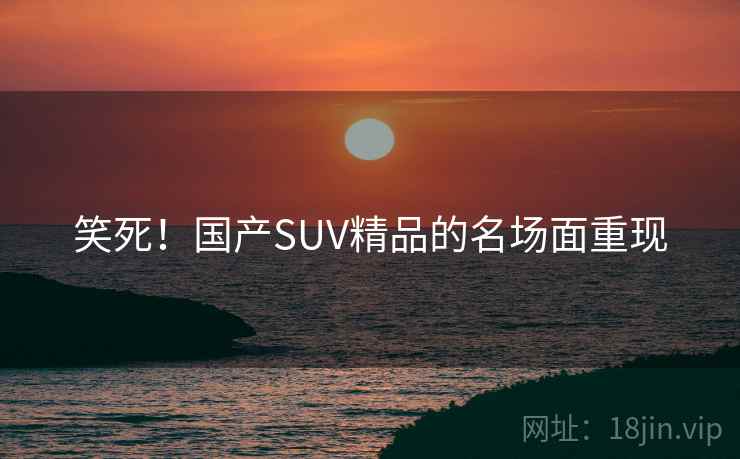 笑死！国产SUV精品的名场面重现