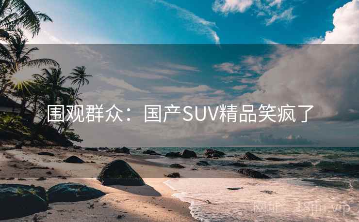 围观群众：国产SUV精品笑疯了